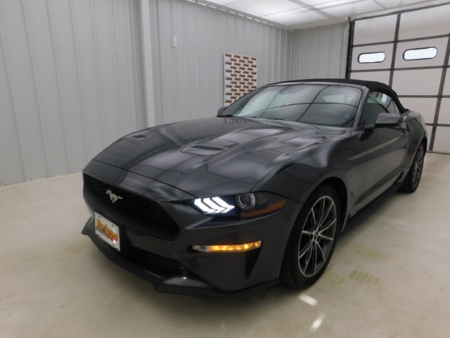 2019 Ford Mustang